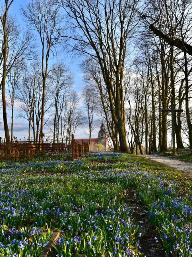 Apartament Mala Wenecja Barczewo Esterno foto